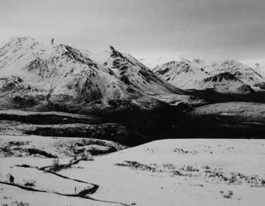 Photography titled "Denali Park" by Lisa Trevino, Original Artwork, Digital Photography