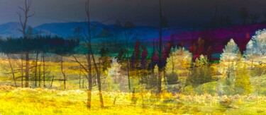 Digitale Kunst mit dem Titel "Ghost Valley" von Lisa Trevino, Original-Kunstwerk, 2D digitale Arbeit