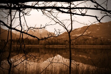 Фотография под названием "lago con gli alberi" - Lorenzo Corti, Подлинное произведение искусства, Цифровая фотография