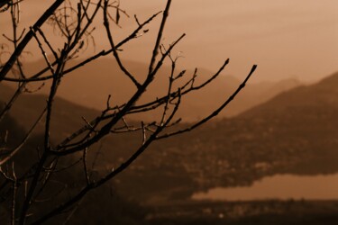 Fotografie getiteld "rami sulla montagna" door Lorenzo Corti, Origineel Kunstwerk, Digitale fotografie