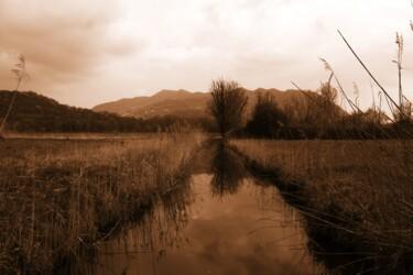 Photography titled "fiume nel campo" by Lorenzo Corti, Original Artwork, Digital Photography