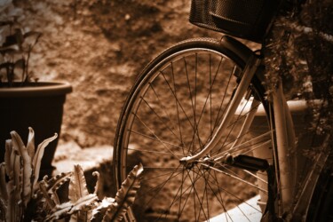 摄影 标题为“ruota della bici” 由Lorenzo Corti, 原创艺术品, 数码摄影