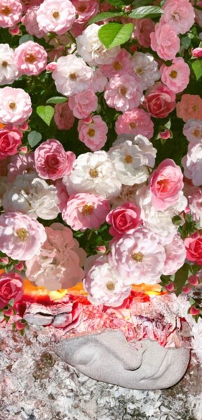 Photographie intitulée "Pluie de roses de 2…" par Lou Perdu, Œuvre d'art originale