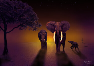 Digital Arts titled "famille éléphants e…" by Lecointre Patrick Artiste - Photographe, Original Artwork, Photo Montage