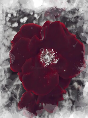 Digitale Kunst getiteld "Burgundy Petals" door Lu Sho, Origineel Kunstwerk, Digitale collage