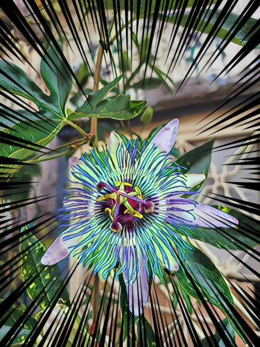 Digital Arts titled "Passion Flower" by Lu Sho, Original Artwork, Digital Collage
