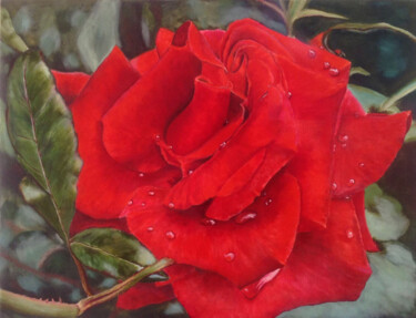 Painting titled "Scarlet rose close…" by Liubov Samoilova, Original Artwork, Oil