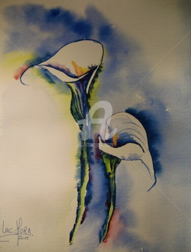 Peinture intitulée "Arum" par Luc Mora, Œuvre d'art originale, Aquarelle