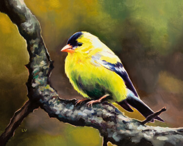 绘画 标题为“Male yellow goldfin…” 由Lucia Verdejo, 原创艺术品, 油 安装在木板上