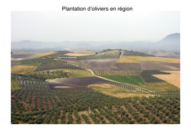 Photography titled "Plantation" by Lucien Duhamel, Original Artwork, Digital Photography
