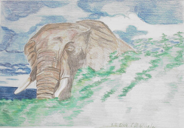 Desenho intitulada "Elephant" por Luethi Alias Abdelghafar, Obras de arte originais, Conté