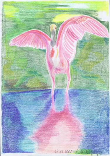 Drawing titled "Flamingo" by Luethi Alias Abdelghafar, Original Artwork, Conté