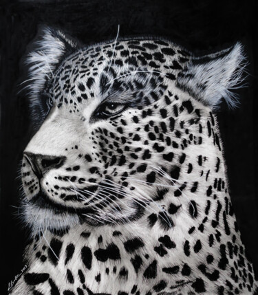 Rysunek zatytułowany „Javan Leopard Portr…” autorstwa Lynton Bolton, Oryginalna praca, Węgiel drzewny