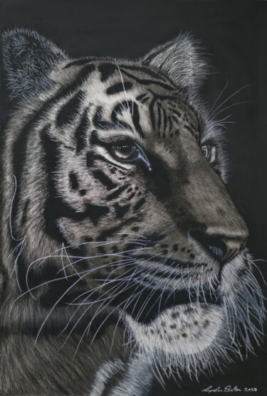 Drawing titled "Regal Eye" by Lynton Bolton, Original Artwork, Charcoal