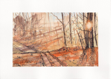 绘画 标题为“Autumn forest” 由Maciej Kłosowski, 原创艺术品, 水彩
