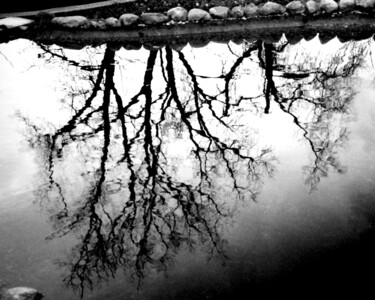 Fotografie mit dem Titel "puddle" von Magda Durda, Original-Kunstwerk, Nicht bearbeitete Fotografie