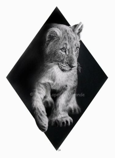 Tekening getiteld "Lionceau" door Magali Lapeyre-Mirande, Origineel Kunstwerk, Potlood
