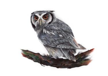 Rysunek zatytułowany „Eurasian Scops Owl…” autorstwa Daria Maier, Oryginalna praca, Długopis