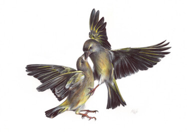 Dessin intitulée "Eurasian Siskin (Re…" par Daria Maier, Œuvre d'art originale, Stylo à bille