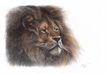 Dibujo titulada "Lion - Animal Portr…" por Daria Maier, Obra de arte original, Bolígrafo