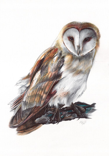 "Barn Owl - Bird Por…" başlıklı Resim Daria Maier tarafından, Orijinal sanat, Tükenmez kalem