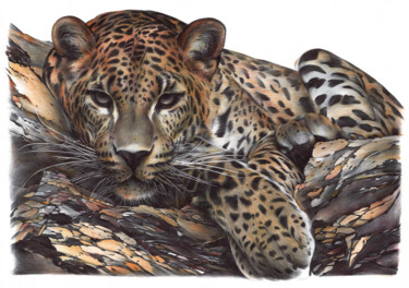 Drawing titled "Leopard (Realistic…" by Daria Maier, Original Artwork, Ballpoint pen