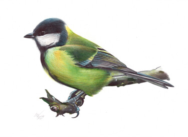 Dibujo titulada "Great Tit" por Daria Maier, Obra de arte original, Bolígrafo