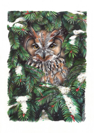 Drawing titled "Owl in Spruce Branc…" by Daria Maier, Original Artwork, Ballpoint pen
