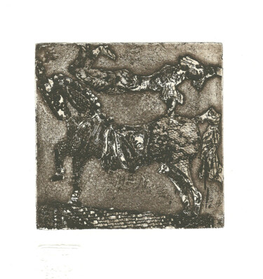 Prenten & gravures getiteld "Acrobat rider" door Mandy Sand, Origineel Kunstwerk, Gravure