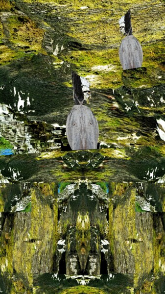 Arte digitale intitolato "Il Mago della Fores…" da Mangani', Opera d'arte originale, Fotomontaggio