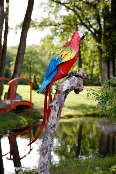 Sculptuur getiteld "ARA MACAO" door Gillsman, Origineel Kunstwerk, Metalen