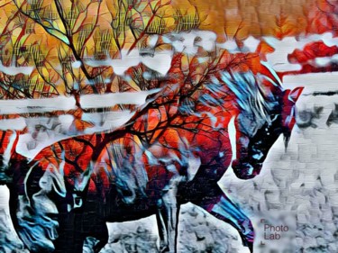 Photography titled "Mon cheval à ma faç…" by Florence Castelli  Flofloyd, Original Artwork