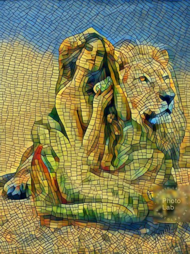Photographie intitulée "La sirène et le lion" par Florence Castelli  Flofloyd, Œuvre d'art originale