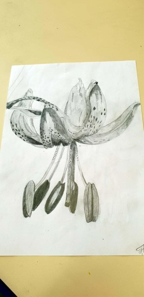 제목이 "Une belle fleur"인 그림 Florence Castelli  Flofloyd로, 원작, 연필