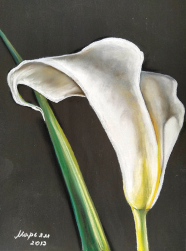 Painting titled "White Calla" by Mariam Mary Ellen, Original Artwork, Pastel