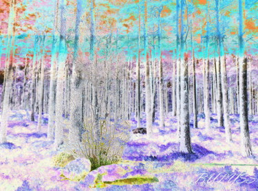 数字艺术 标题为“Forest Ecologie (ле…” 由Marc Bulyss, 原创艺术品, 数字油画