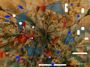 Arts numériques intitulée "Botanic Explosion" par Marc Bulyss, Œuvre d'art originale, Peinture numérique