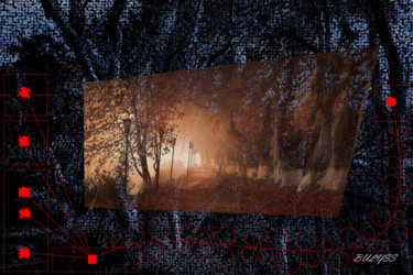 Arte digitale intitolato "Roots and Autumn" da Marc Bulyss, Opera d'arte originale, Pittura digitale