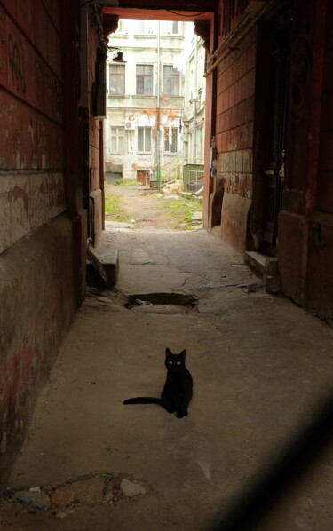 "Odessa 355" başlıklı Fotoğraf Nestor tarafından, Orijinal sanat, Dijital Fotoğrafçılık