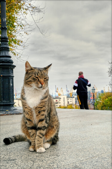 Photographie intitulée "CHAT D'ODESSA" par Nestor, Œuvre d'art originale, Photographie argentique