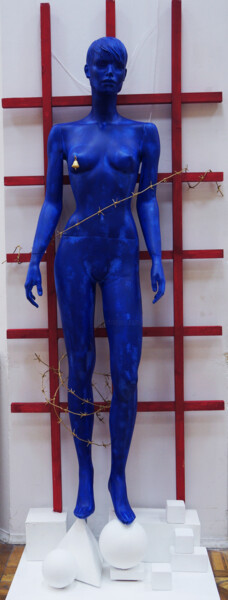 雕塑 标题为“Installation 1” 由Margarita Felis, 原创艺术品, 塑料