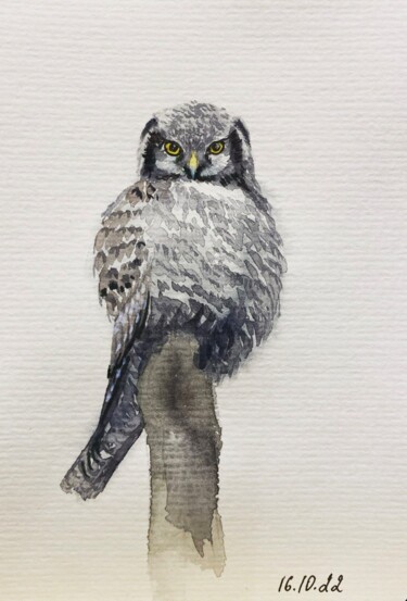 Schilderij getiteld "The hawk-owl" door Margarita Gladilina, Origineel Kunstwerk, Aquarel