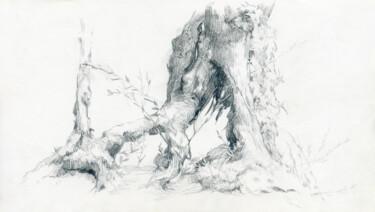 Dibujo titulada "Old olive root" por Margarita Simonova, Obra de arte original, Grafito