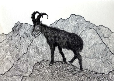 Drawing titled "Chamois" by Margot Thuy, Original Artwork, Marker
