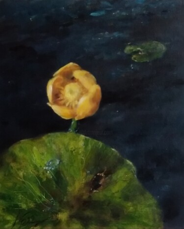 Painting titled "Waterlily/Nymphea 4" by Maria Bel, Original Artwork, Oil Mounted on Cardboard