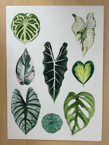Schilderij getiteld "Green collection" door María Emilia Villegas, Origineel Kunstwerk, Aquarel