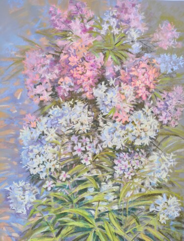 Schilderij getiteld "floxes in my garden" door Maria Iakovleva, Origineel Kunstwerk, Pastel