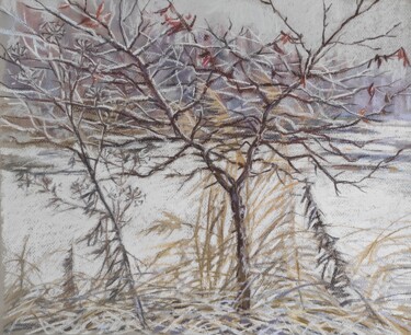 Schilderij getiteld "Nature drawing soft…" door Maria Iakovleva, Origineel Kunstwerk, Pastel