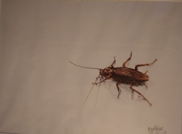 Painting titled "Cucaracha" by María José Ñíguez, Original Artwork, Marker