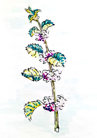 Painting titled "A sprig of a plant,…" by Maria Terskikh, Original Artwork, Marker